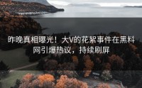 昨晚真相曝光！大V的花絮事件在黑料网引爆热议，持续刷屏
