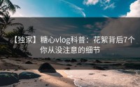 【独家】糖心vlog科普：花絮背后7个你从没注意的细节