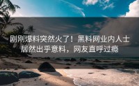 刚刚爆料突然火了！黑料网业内人士居然出乎意料，网友直呼过瘾