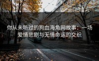 你从未听过的狗血海角网故事：一场爱情悲剧与无情命运的交织