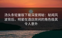 汤头条轻量版下载深度揭秘：秘闻风波背后，明星在酒店房间的角色极其令人意外