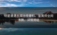 明星遭遇丑闻出乎意料，鉴黄师全网沸腾，详情揭秘