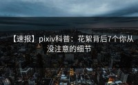 【速报】pixiv科普：花絮背后7个你从没注意的细节