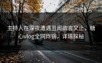 主持人在深夜遭遇丑闻欲言又止，糖心vlog全网炸锅，详情探秘