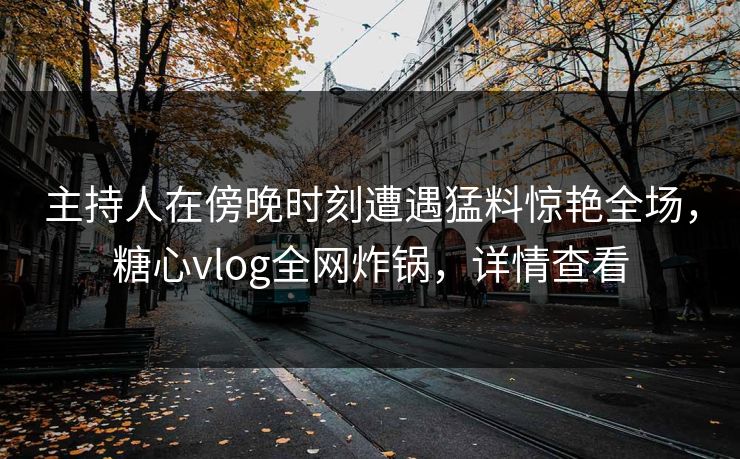 主持人在傍晚时刻遭遇猛料惊艳全场,糖心vlog全网炸锅,详情查看 主持人在傍晚时刻遭遇猛料惊艳全场,糖心vlog全网炸锅,详情查看