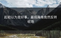 起初以为是好事，最后海角竟然反转收场
