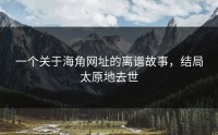 一个关于海角网址的离谱故事，结局太原地去世