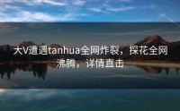 大V遭遇tanhua全网炸裂，探花全网沸腾，详情直击