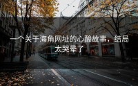 一个关于海角网址的心酸故事，结局太哭晕了
