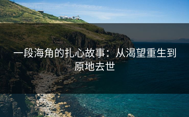 一段海角的扎心故事：从渴望重生到原地去世
