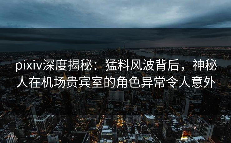 pixiv深度揭秘：猛料风波背后，神秘人在机场贵宾室的角色异常令人意外